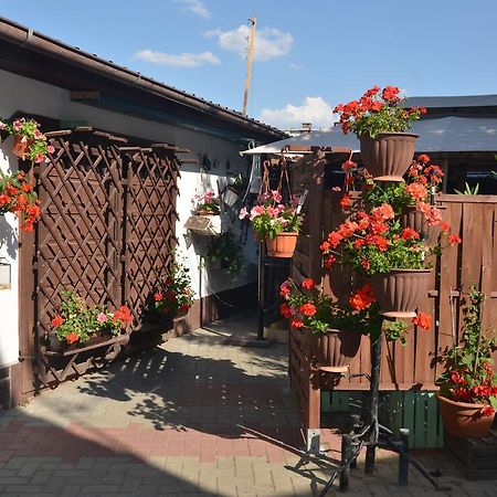 Motel Eden Zamość Εξωτερικό φωτογραφία